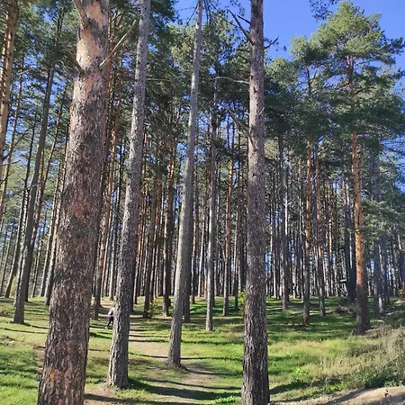 Centar Jezero * Zlatibor